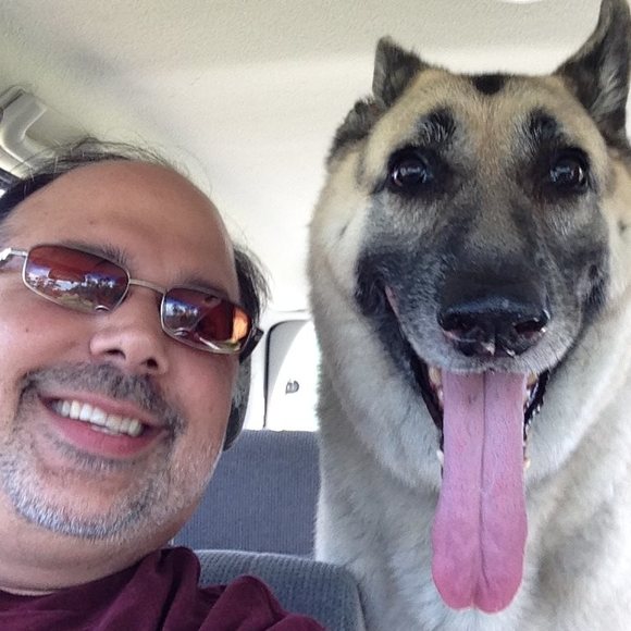 Meet your Posher, Elizabeth - Picture 1 of 1